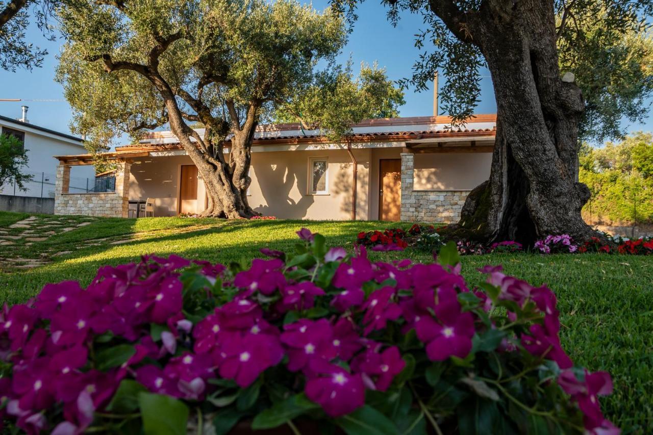 Il Mirto Residence Марина-ди-Камерота Экстерьер фото